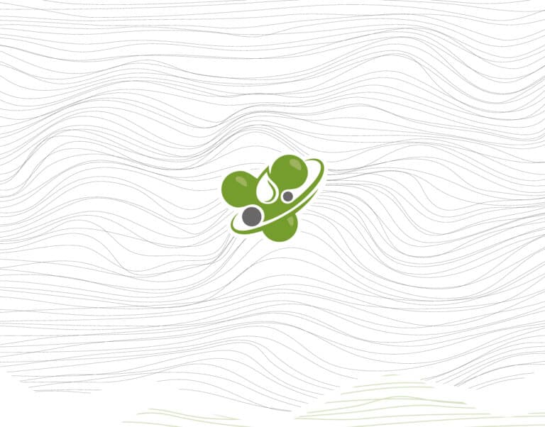 Proyecto de identidad corporativa 8