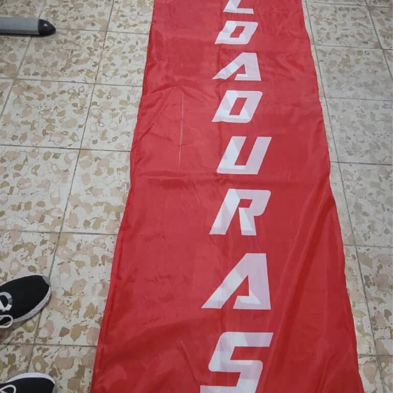 Sublimación 1